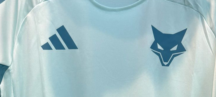 Camisa de Treino Cruzeiro 2023/24 – Adidas Masculina